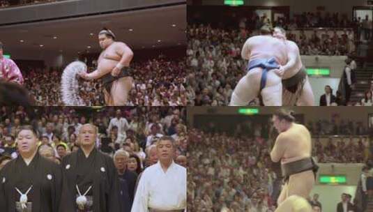 川普观看日本相扑比赛高清在线视频素材下载