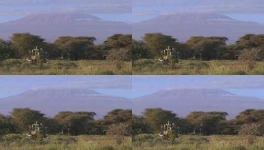 非洲草原的美丽延时摄影高清在线视频素材下载