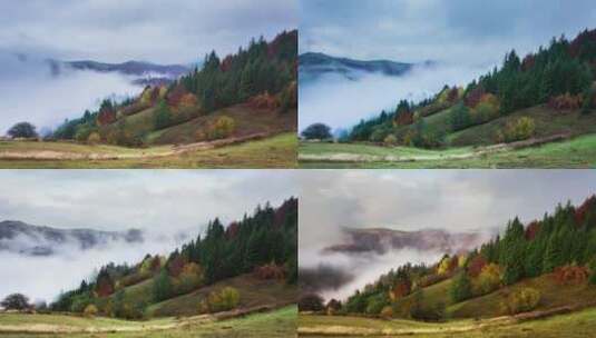 浓雾笼罩着秋天的森林高清在线视频素材下载