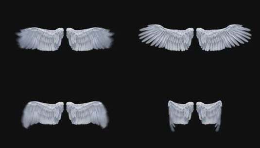 圣洁的天使白色羽毛翅膀特效合成高清在线视频素材下载