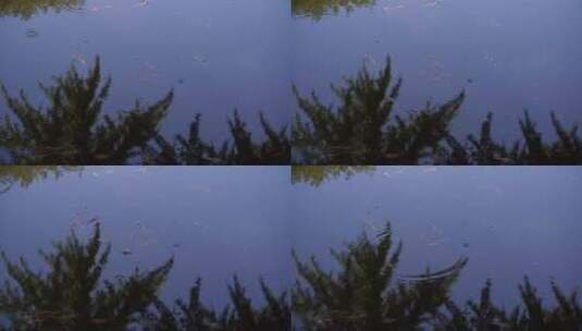 池塘倒影水面波纹反光高清在线视频素材下载