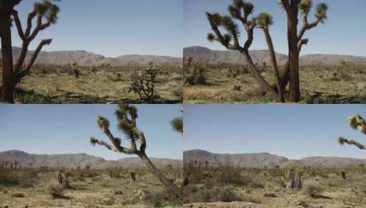 4K沙漠元素的乡村道路上旅行拍摄高清在线视频素材下载