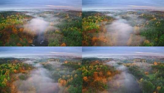 雾中的河流和森林高清在线视频素材下载