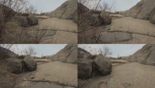 野外石头上的枯草高清在线视频素材下载