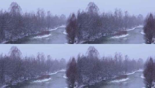 森林河春雪高清在线视频素材下载