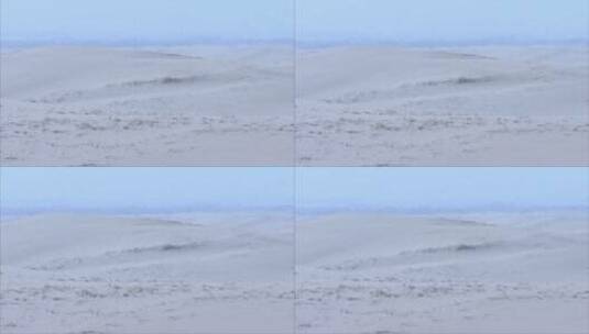 宁夏 沙漠地平线和枯萎植物滩高清在线视频素材下载