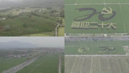 4k航拍喜迎二十大的稻田图案D-LOG素材高清在线视频素材下载