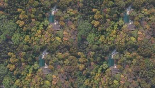 南京钟山景区景点紫金山高清在线视频素材下载