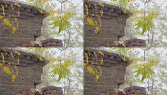 【空镜】4K北方乡村农村小院砖墙一角高清在线视频素材下载