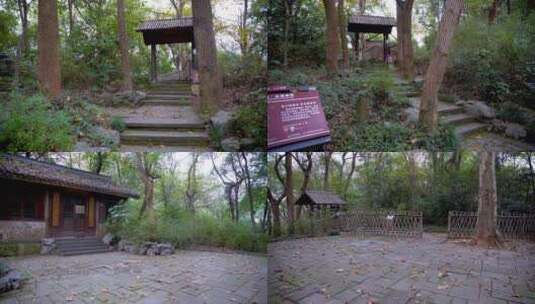 杭州玉皇山樱花地古六十四景之一4K视频高清在线视频素材下载