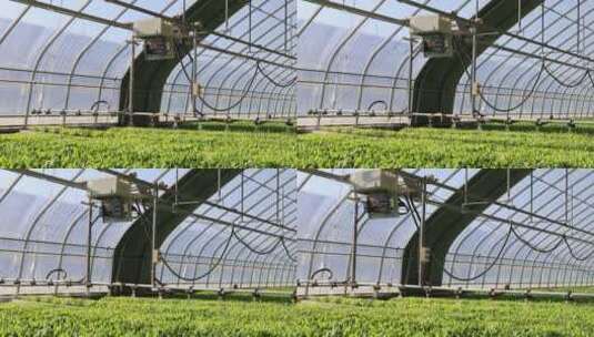 自动化农业大棚  喷淋 育苗高清在线视频素材下载