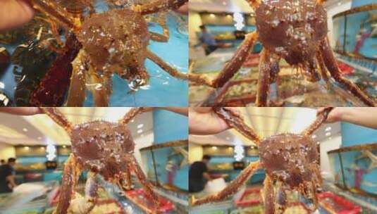 过年大螃蟹展示高清在线视频素材下载