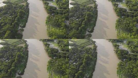 蜿蜒的河流穿过热带森林高清在线视频素材下载
