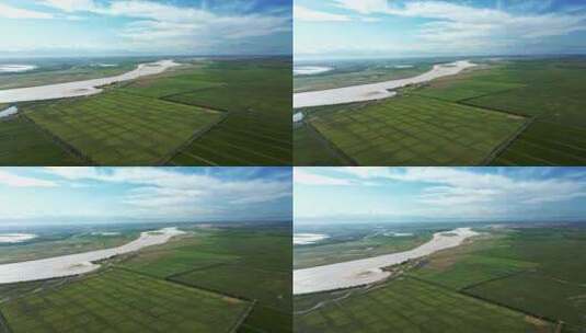 黄河农业生态稻田-河流平原大地高清在线视频素材下载
