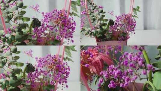 （有版权）滑轨4k花朵花假花紫色花朵塑料花高清在线视频素材下载