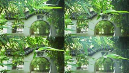 江南园林竹子竹叶阳光下的光影空镜高清在线视频素材下载