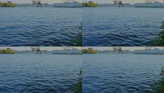 晴朗天气下的西湖湖面与湖心岛高清在线视频素材下载