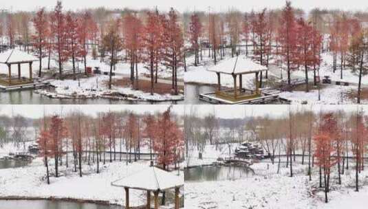 航拍湿地公园雪景树林湖岛木屋杉树木高清在线视频素材下载