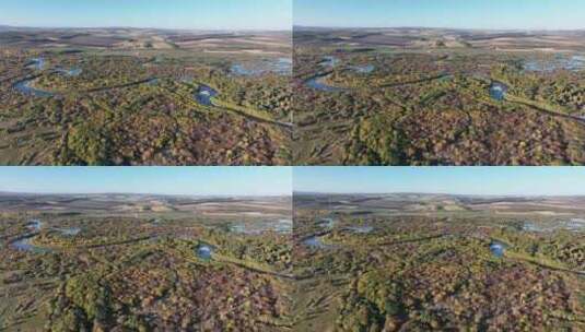 呼伦贝尔林区风光-湿地-垦区168高清在线视频素材下载