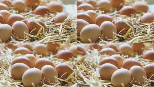 鸡窝农家土鸡蛋高清在线视频素材下载