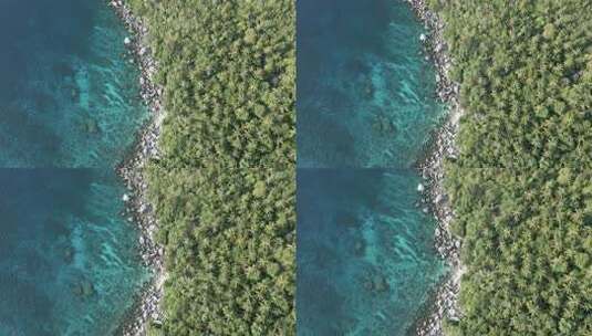 泰国涛岛芒果湾的空中建立，海水清澈，珊瑚高清在线视频素材下载