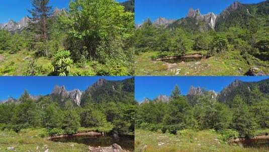 沙滩车自驾贡嘎山区磨西镇燕子沟旅游区高清在线视频素材下载