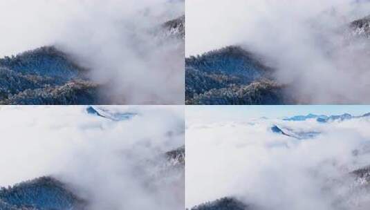 四川西岭雪山美丽风景冬天白雪皑皑云雾缭绕高清在线视频素材下载