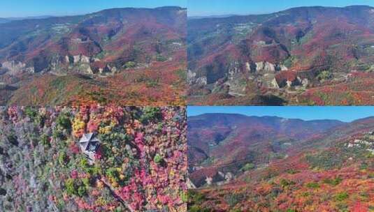 航拍太原西山红叶高清在线视频素材下载