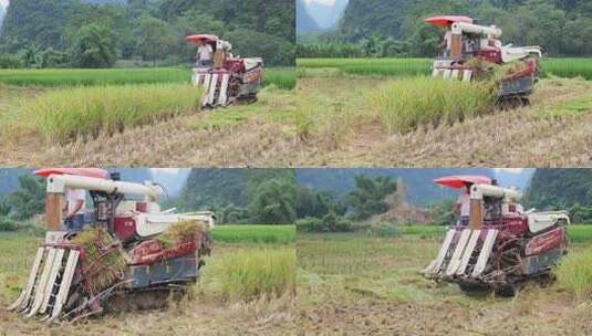 田园风光中使用收割机收割水稻的景象高清在线视频素材下载