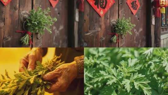 艾草植物特写素材高清在线视频素材下载