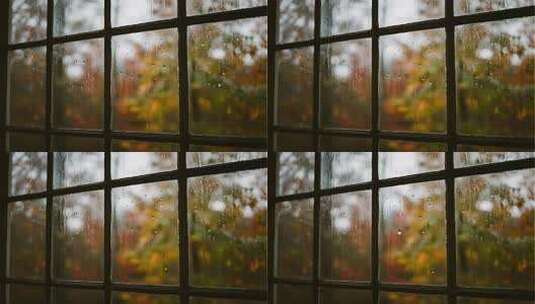 寒露霜降雨天窗户孤独伤感意境视频高清在线视频素材下载