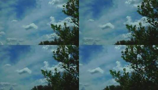 以天空为背景的树木仰拍空镜转场高清在线视频素材下载
