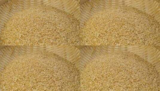 4K糙米大米粮食高清在线视频素材下载