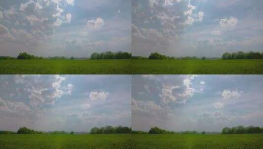 天空下的麦田风景 高清在线视频素材下载