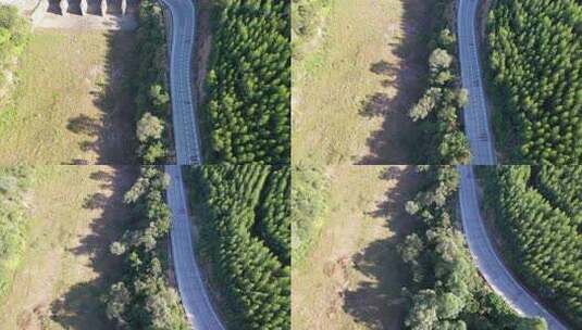 航拍森林中的公路高清在线视频素材下载