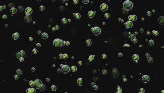 泡泡绿叶动态背景视频素材带通道高清在线视频素材下载