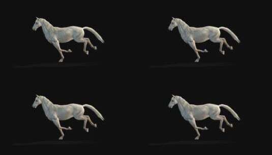 马 跑步 侧面 三维 跑 走高清在线视频素材下载