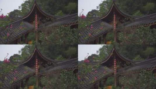 杭州上天竺法喜讲寺风景高清在线视频素材下载