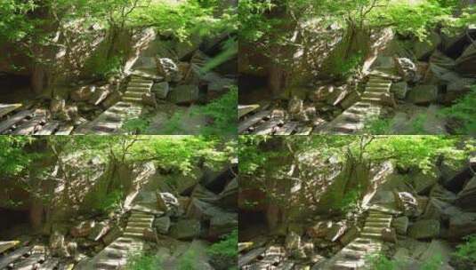 洛阳龙潭大峡谷旅游生态森林河流景点高清在线视频素材下载