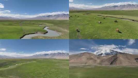 新疆喀什帕米尔高原河流牛羊蓝天白云高清在线视频素材下载