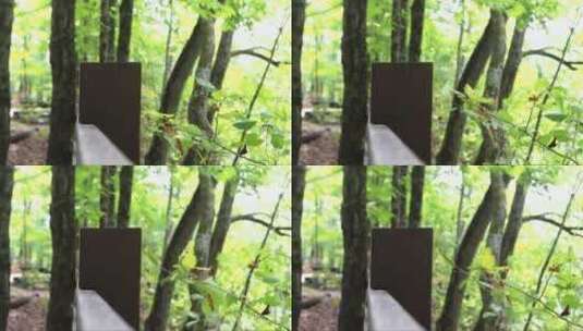 公园林间的栏杆高清在线视频素材下载