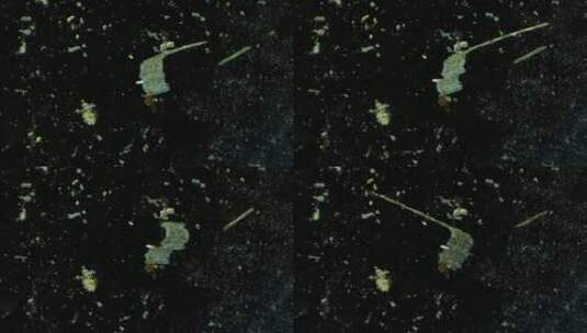 显微镜下的微观世界微生物 硅藻7高清在线视频素材下载