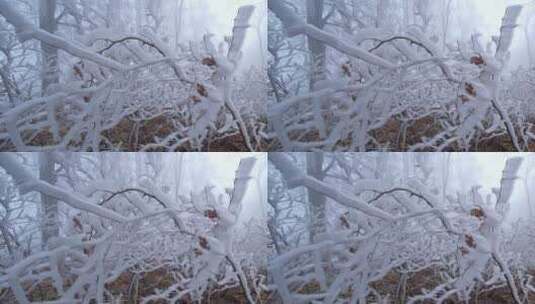 美丽的冬天雪景特写 高山森林小河树木高清在线视频素材下载