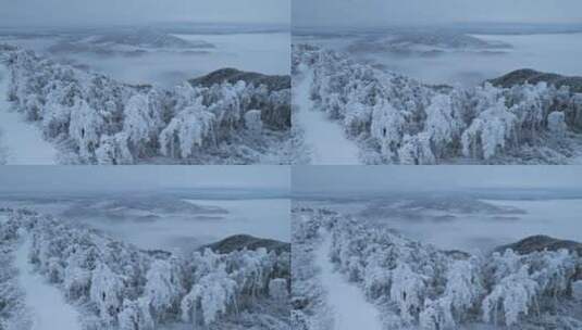 杭州临安大明山牵牛岗森林雪景云海航拍高清在线视频素材下载