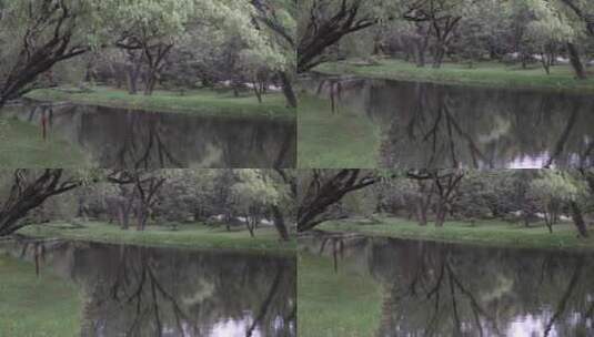 公园河边杨柳高清在线视频素材下载