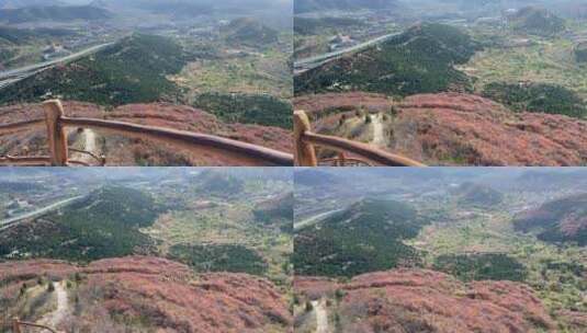 济南蚰蜒山红叶满山，秋天山脉景色高清在线视频素材下载