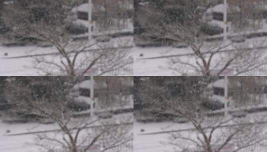 飘雪的冬季街头景观高清在线视频素材下载