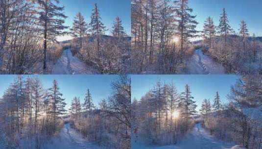 冬季森林小路阳光雪林高清在线视频素材下载