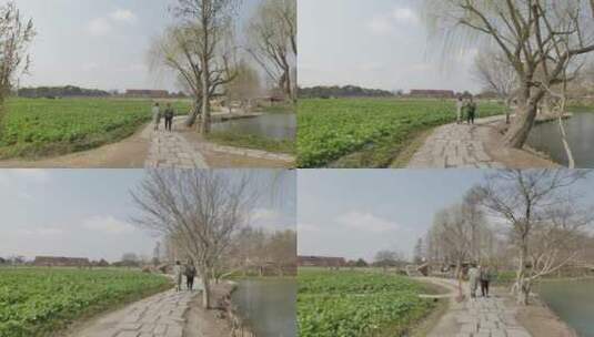 上海广富林遗址自然人文景观高清在线视频素材下载