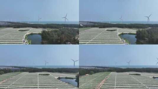 航拍海边风力发电风车高清在线视频素材下载